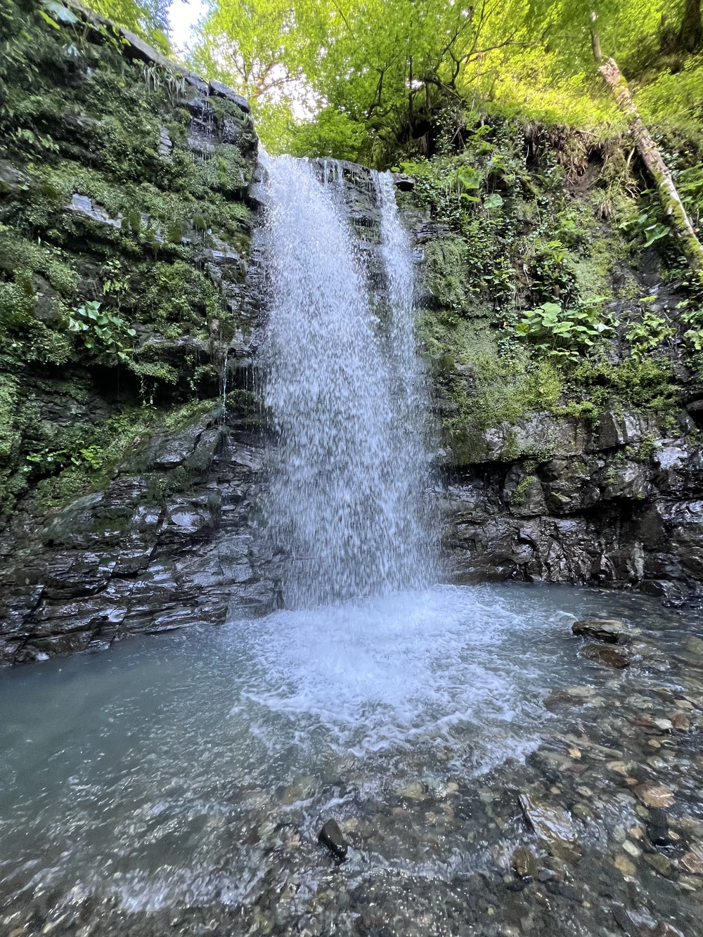 Такой разный Сочи: водопады, ущелья и чайные плантации (из Сочи) — фото 11