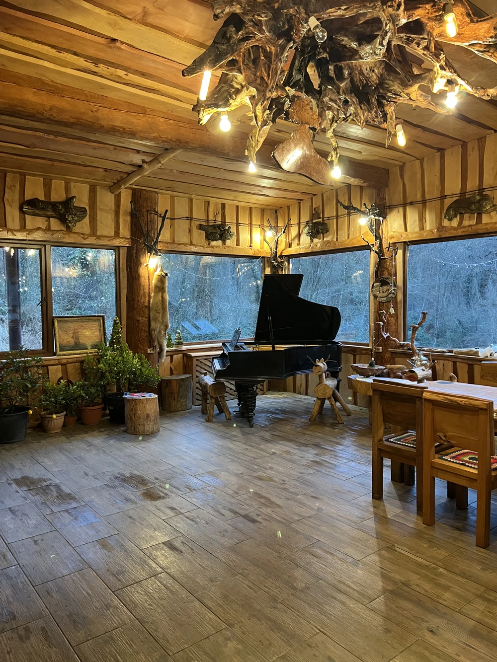 Из Сочи — на экоферму, винодельни и чайные плантации — фото 10