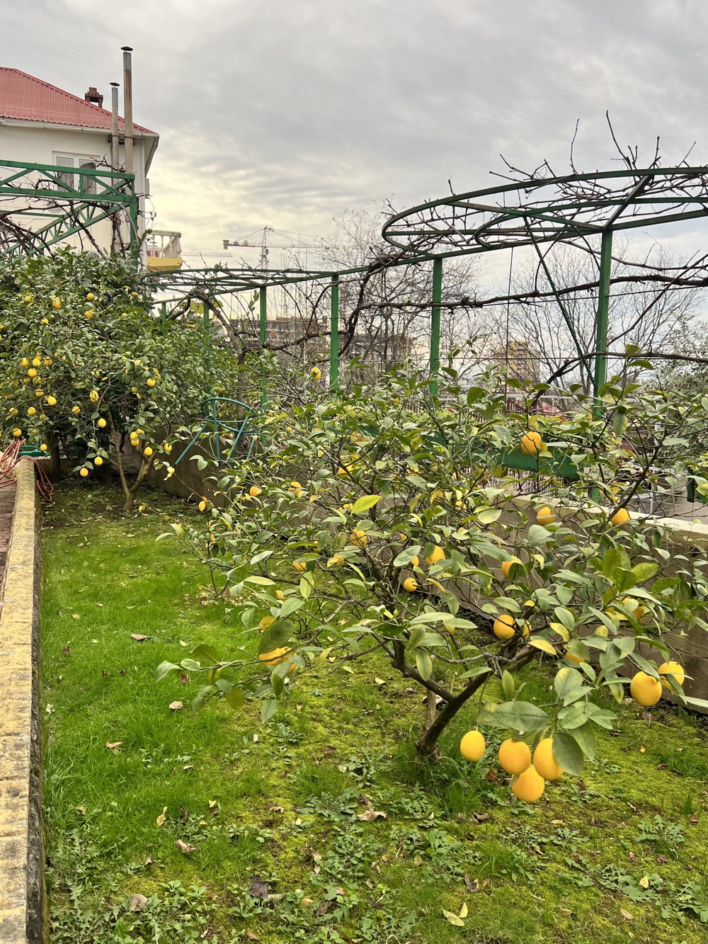 В гостях у винодела в Сочи (мини-группа) — фото 12