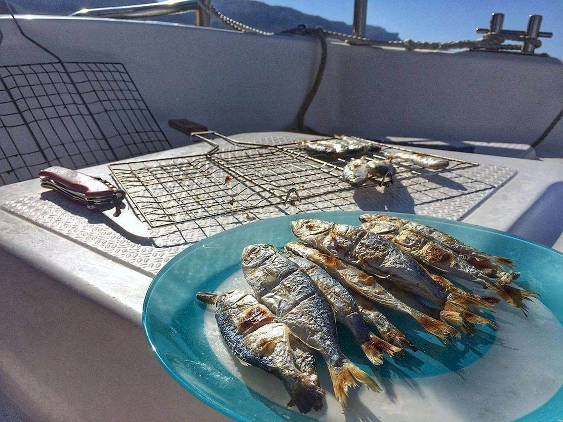В мини-группе — на морскую рыбалку с пикником на борту — фото 5