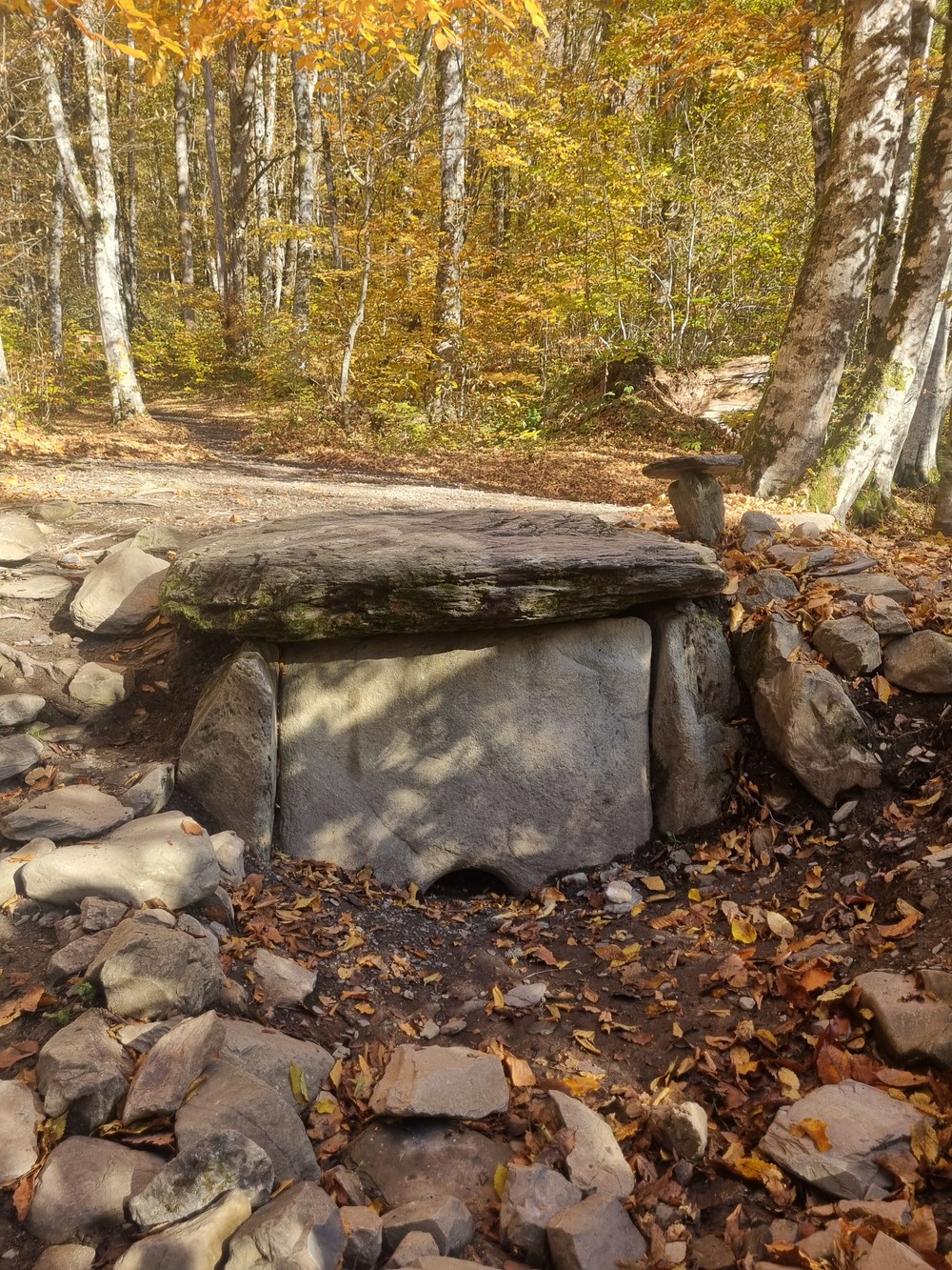 Все грани Красной Поляны: погружение в историю, природу и гастрономию курорта — фото 8