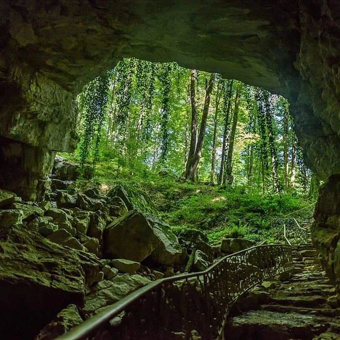Воронцовские пещеры: экскурсия в сердце горного Сочи — фото 9