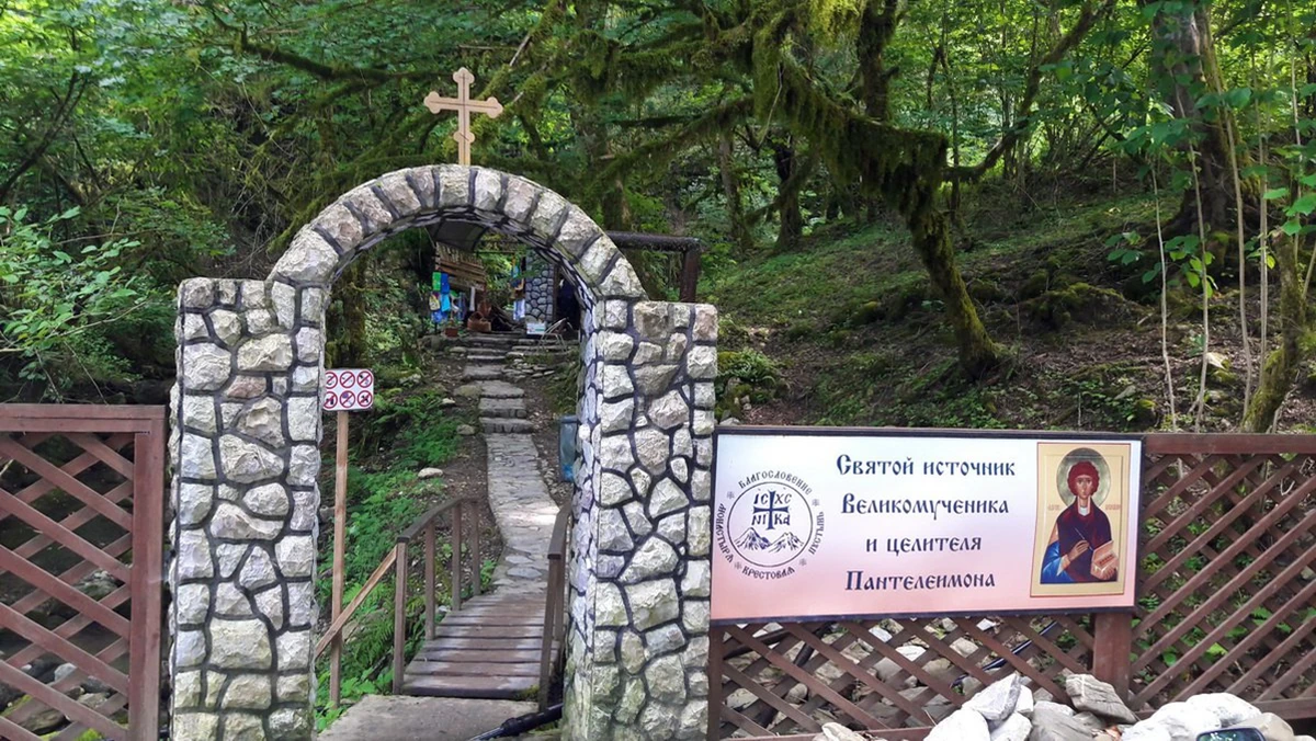 Солох-Аул: история и традиции чаеводства в Сочи — фото 7