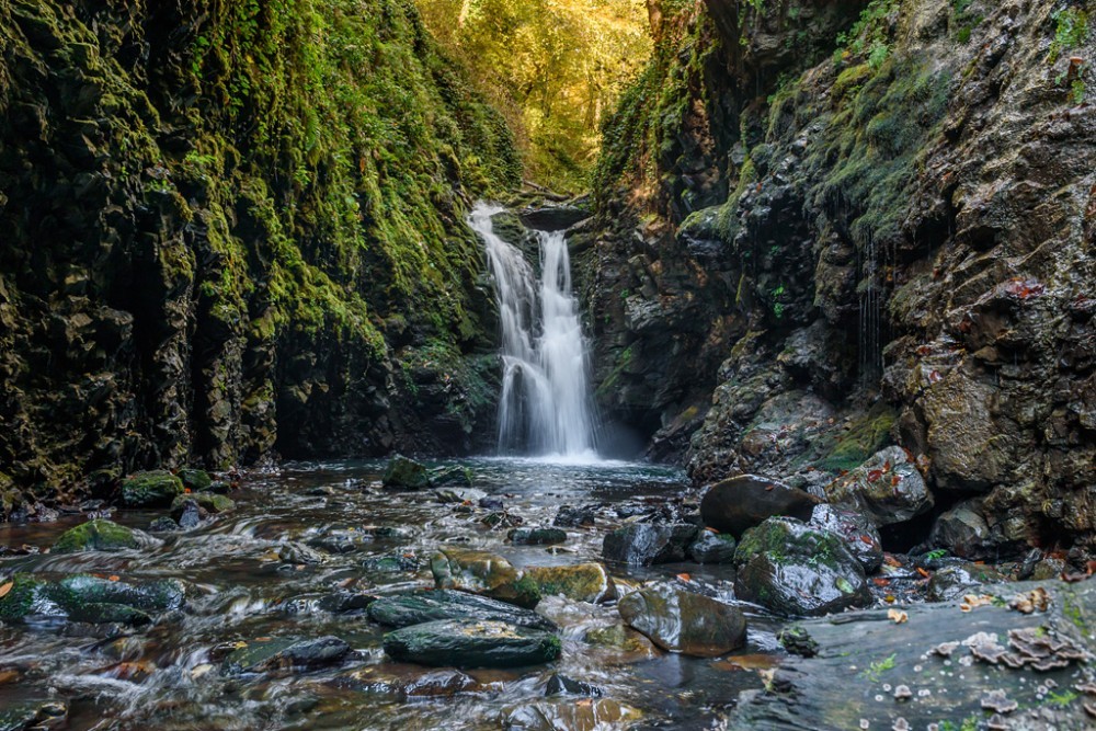 Насыщенная поездка по сочинским субтропикам — в индивидуальном формате