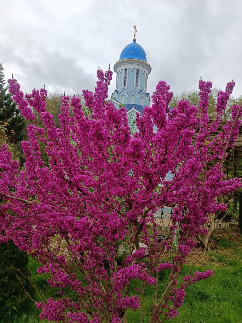 Православный Сочи — фото 5