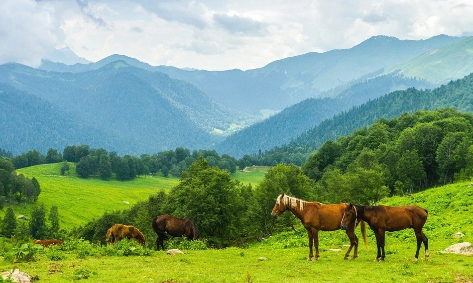 Конная прогулка по заповедной Кудепсте — фото 6