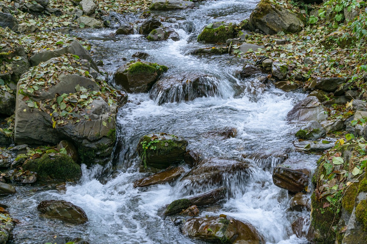 Лёгкий треккинг к водопаду Красной Поляны — фото 4