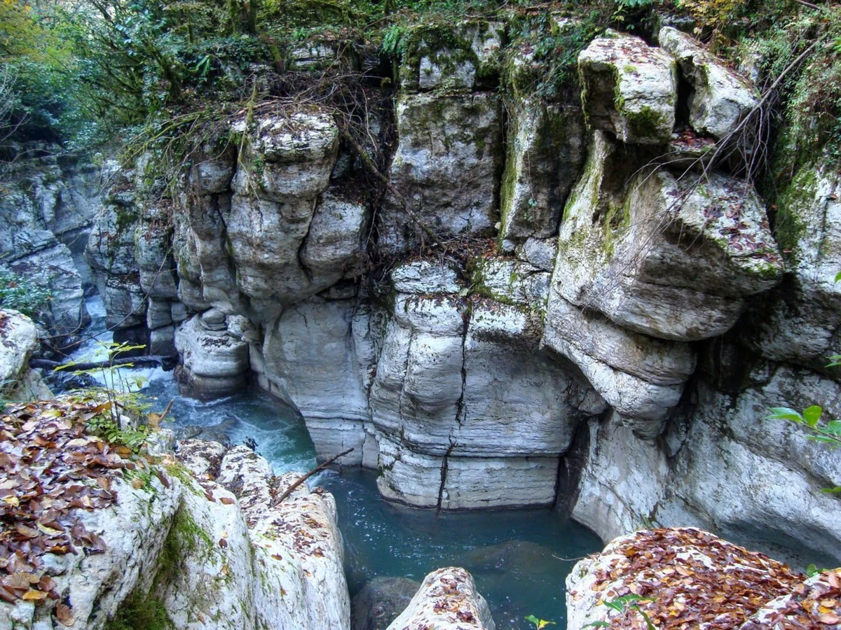 Красота дикой природы Сочи — фото 4