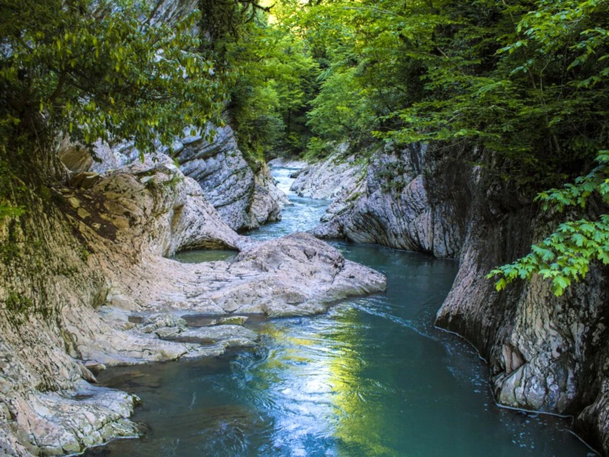 Красота дикой природы Сочи — фото 7