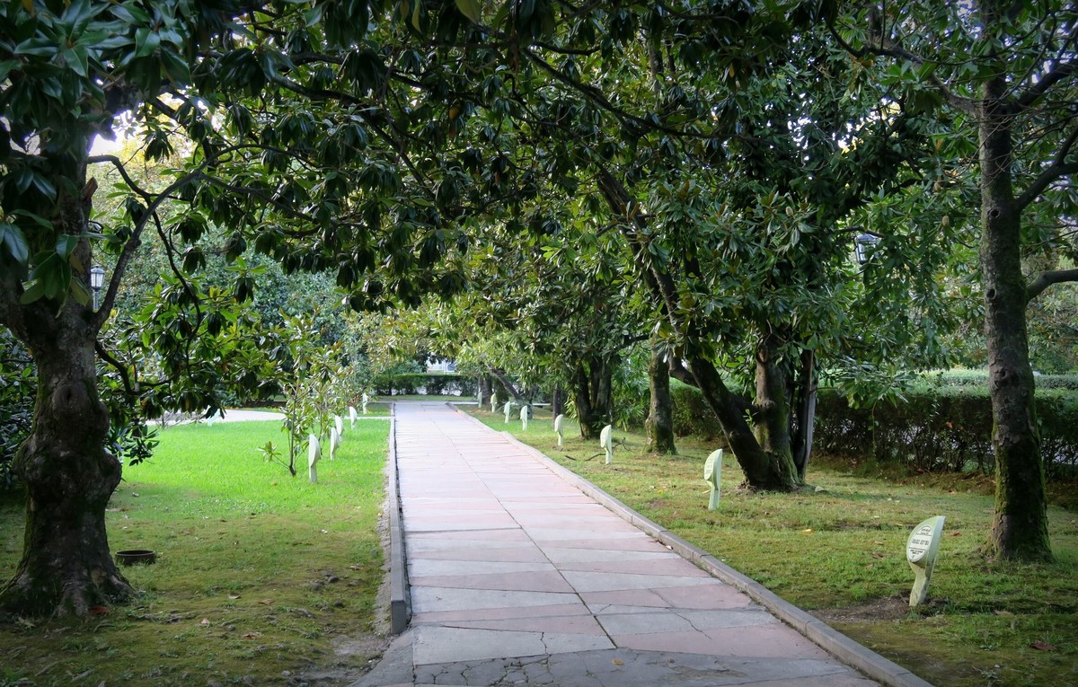 Walk & talk: экскурсия с коучем по парку «Ривьера» — фото 4