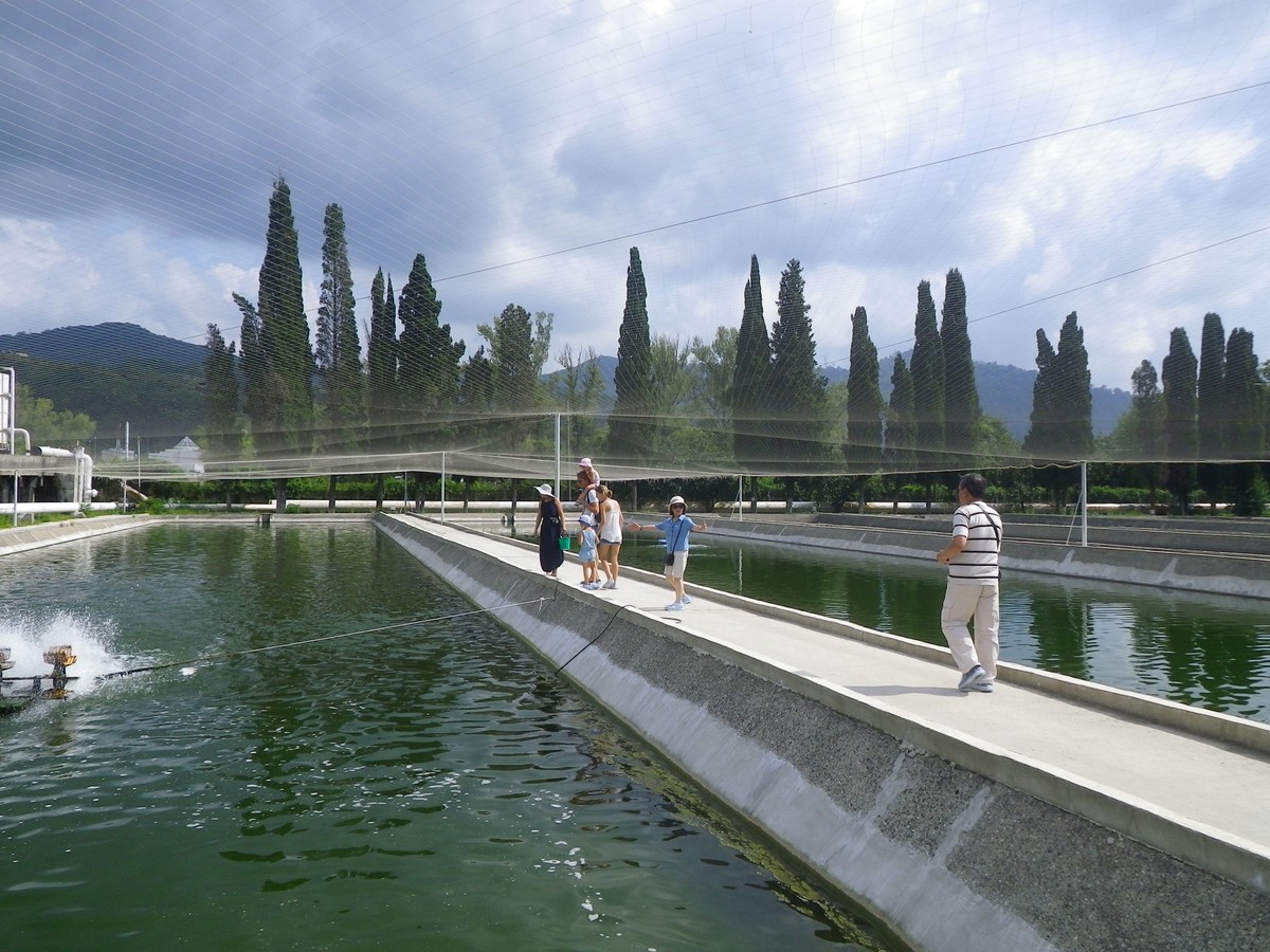 Сочи четырёх стихий — фото 12