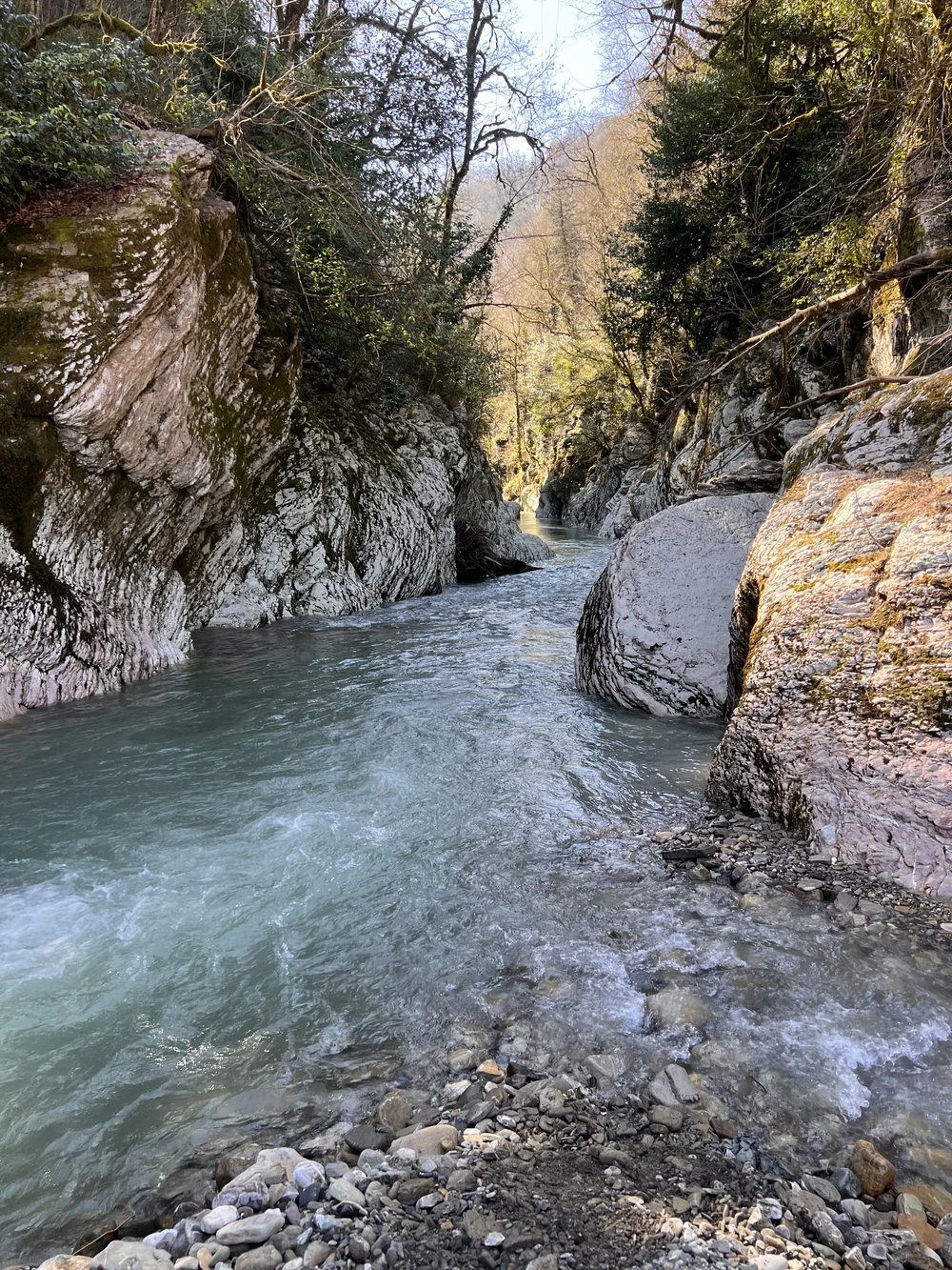 Такой разный Сочи: водопады, ущелья и чайные плантации (из Сочи) — фото 9